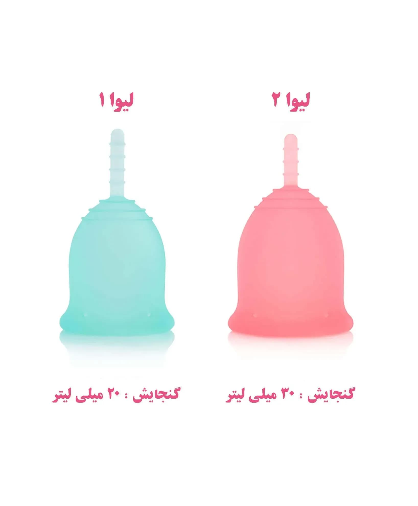 مقایسه سایز 1 و سایز 2 کاپ قاعدگی لیوا فارما